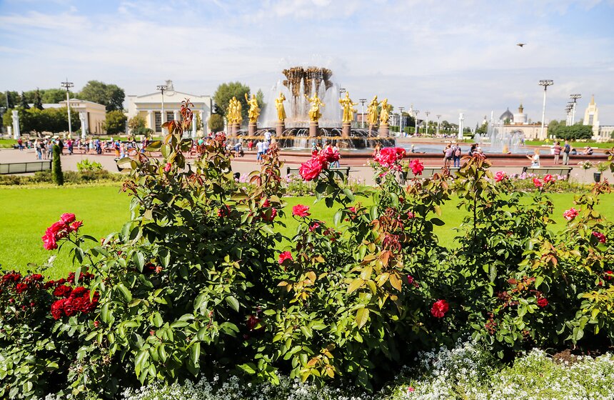 Исторические цветники ВДНХ 7 фото
