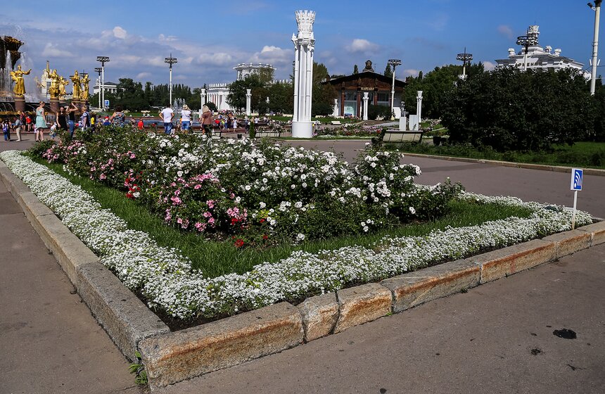 Исторические цветники ВДНХ 6 фото