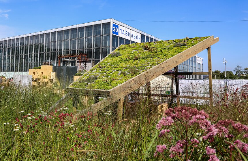 Исторические цветники ВДНХ 29 фото