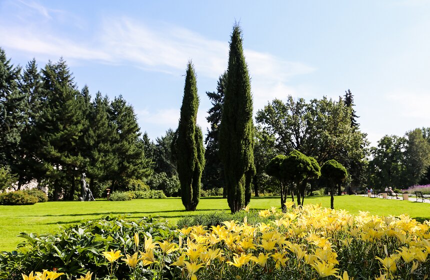 Исторические цветники ВДНХ 32 фото