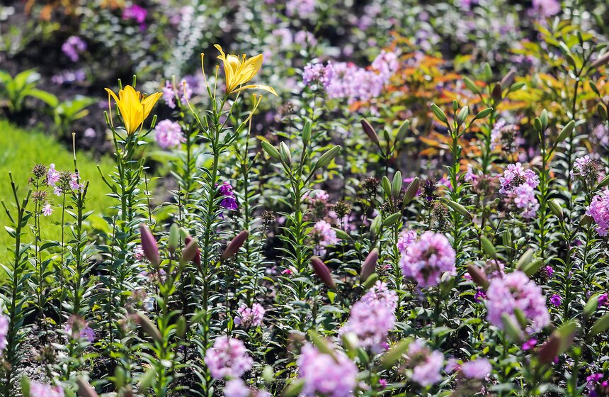 Исторические цветники ВДНХ 11 фото