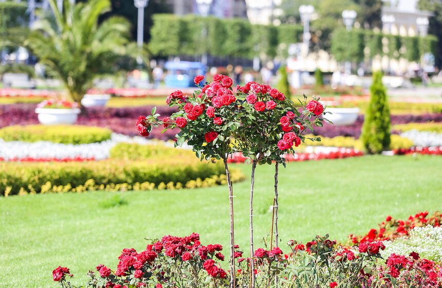 Исторические цветники ВДНХ 16 фото