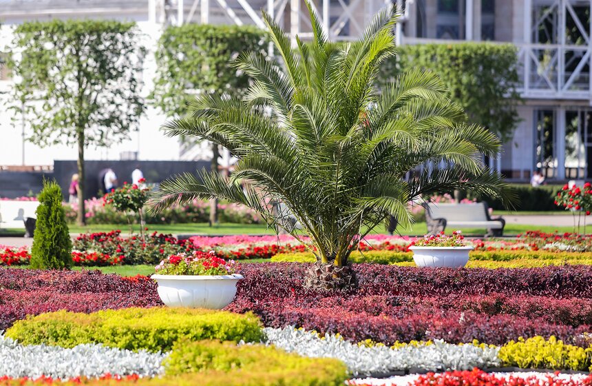 Исторические цветники ВДНХ 15 фото