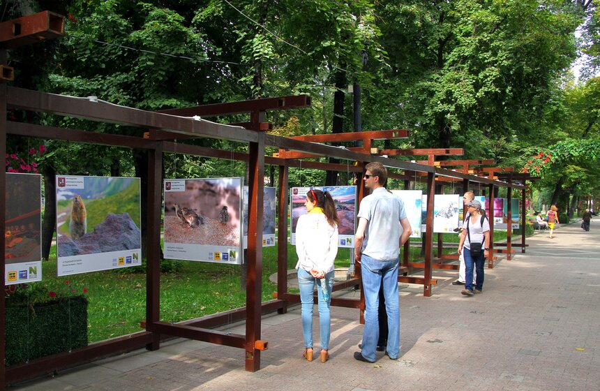 Фотовыставка под открытым небом "Природа смотрит на тебя" 19 фото