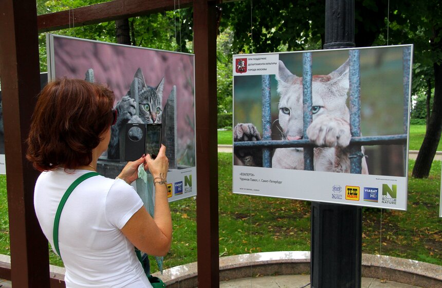 Фотовыставка под открытым небом "Природа смотрит на тебя" 8 фото