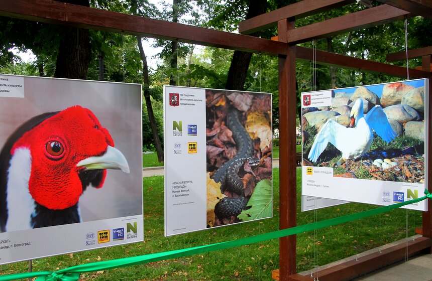 Фотовыставка под открытым небом "Природа смотрит на тебя" 2 фото