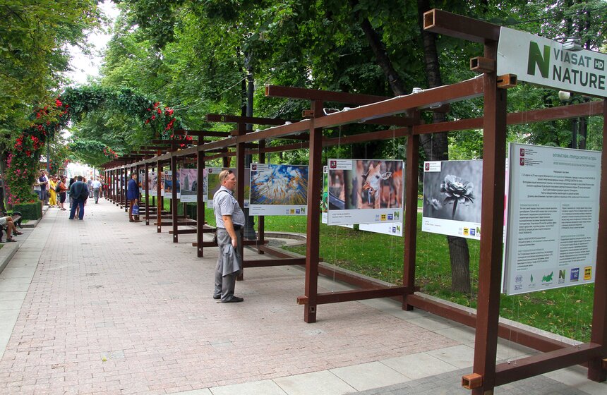 Фотовыставка под открытым небом "Природа смотрит на тебя" 1 фото