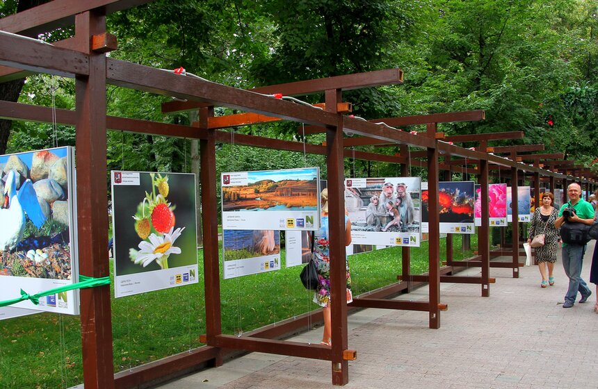 Фотовыставка под открытым небом "Природа смотрит на тебя" 5 фото
