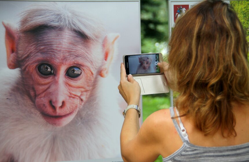 Фотовыставка под открытым небом "Природа смотрит на тебя" 4 фото