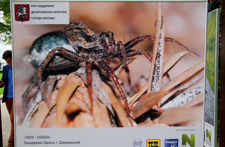 Фотовыставка под открытым небом "Природа смотрит на тебя" 7 фото