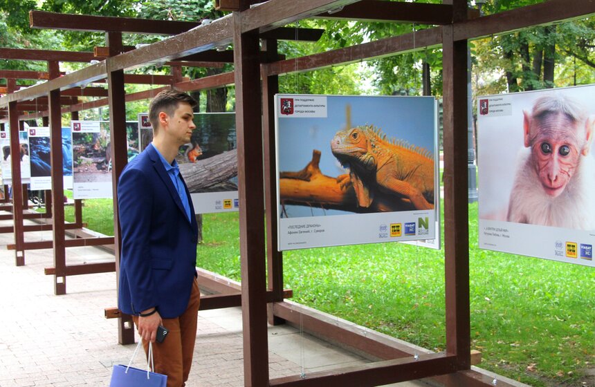 Фотовыставка под открытым небом "Природа смотрит на тебя" 11 фото