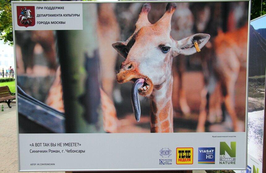 Фотовыставка под открытым небом "Природа смотрит на тебя" 10 фото