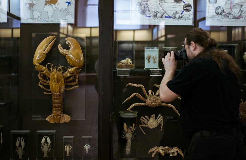 В Зоологическом музее МГУ началась "Музейная линька" 9 фото