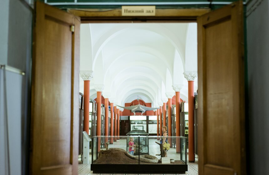 В Зоологическом музее МГУ началась "Музейная линька" 4 фото