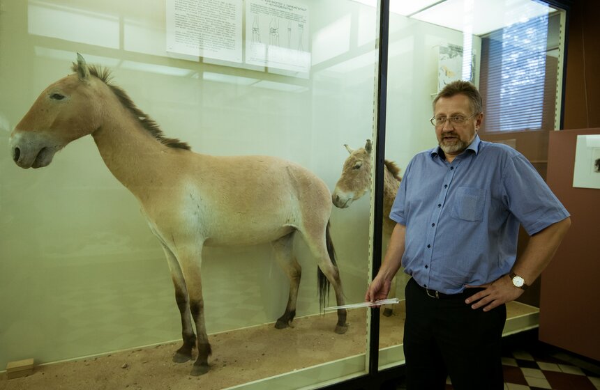В Зоологическом музее МГУ началась "Музейная линька" 38 фото