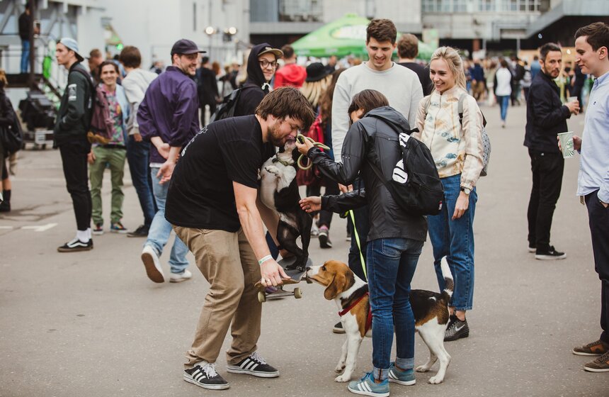 Фестиваль Tuborg Green Jam 18 фото