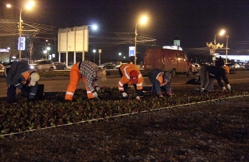 У Триумфальной арки посадили виолы 2 фото