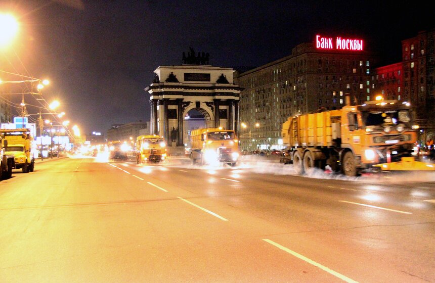 У Триумфальной арки посадили виолы 8 фото