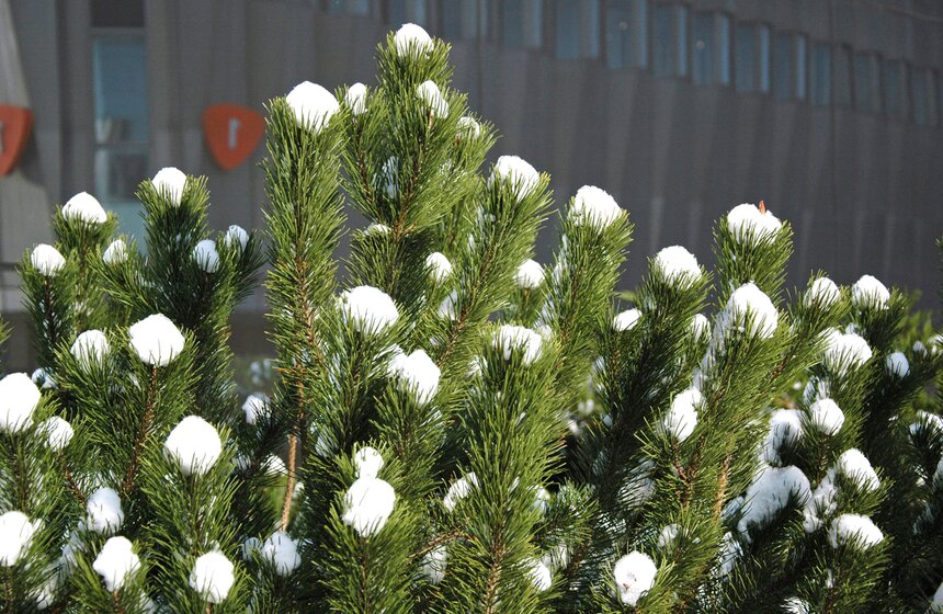 Открытие Russian Interactive Week 2016 в Экспоцентре 27 фото