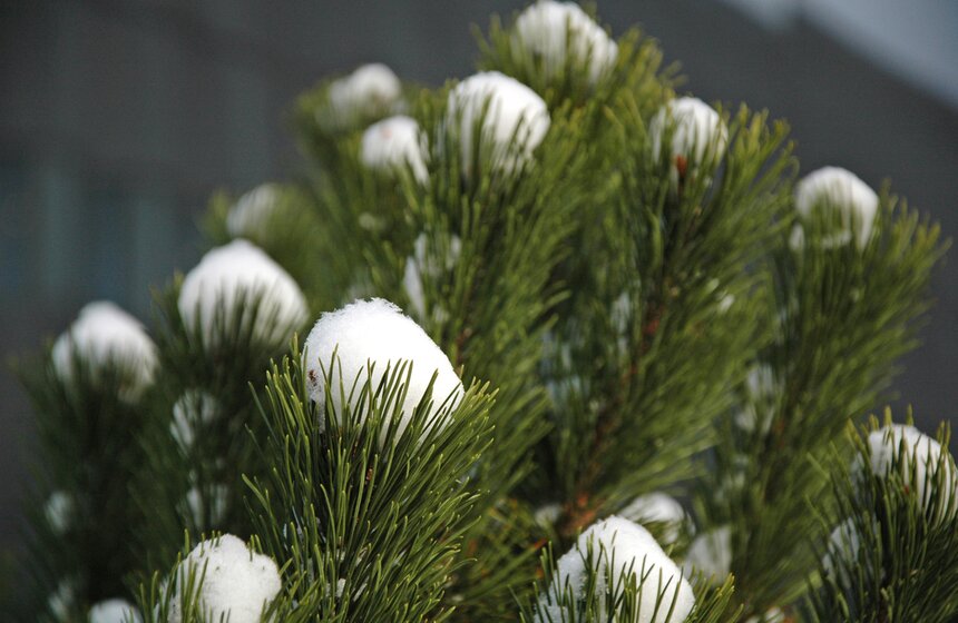 Открытие Russian Interactive Week 2016 в Экспоцентре 28 фото