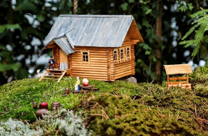 Выставка мхов и лишайников открылась в "Аптекарском огороде" 7 фото