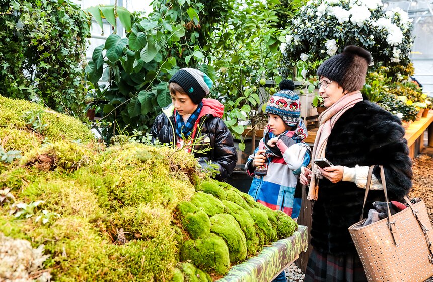 Выставка мхов и лишайников открылась в "Аптекарском огороде" 24 фото