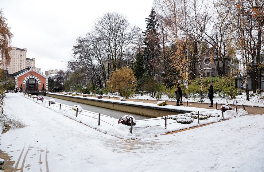 Выставка мхов и лишайников открылась в "Аптекарском огороде" 30 фото