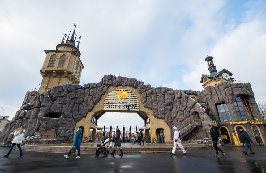 Московский зоопарк открыл свой музей 1 фото