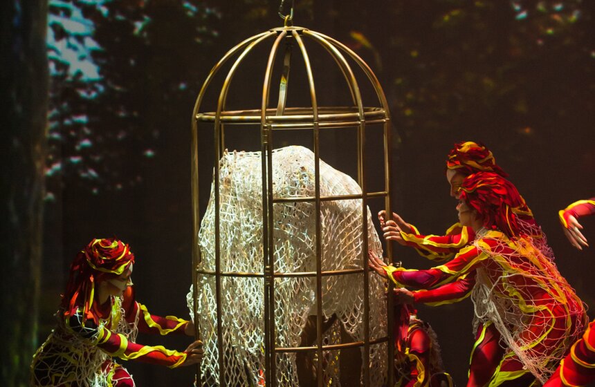 Шоу "Человек-амфибия" представили на сцене Мюзик-Холла 15 фото