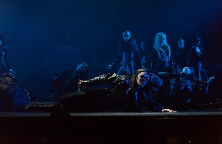 Премьера мюзикла "Бал Вампиров" в МДМ 25 фото