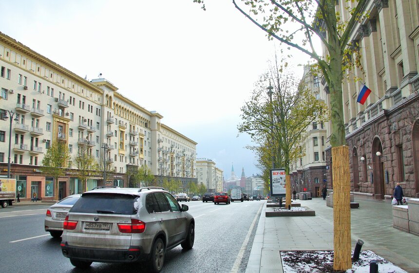 Сергей Собянин осмотрел озелененную Тверскую 17 фото