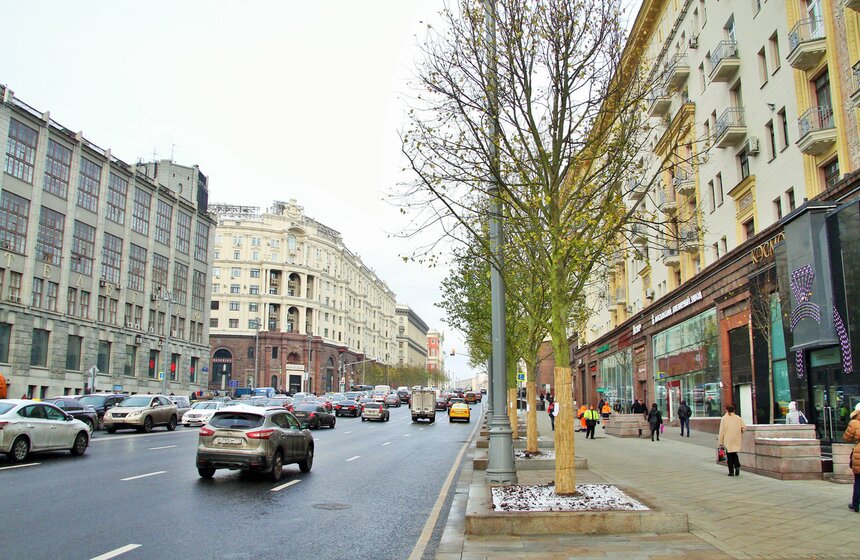 Сергей Собянин осмотрел озелененную Тверскую 3 фото