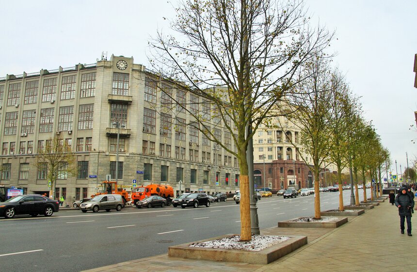 Сергей Собянин осмотрел озелененную Тверскую 1 фото