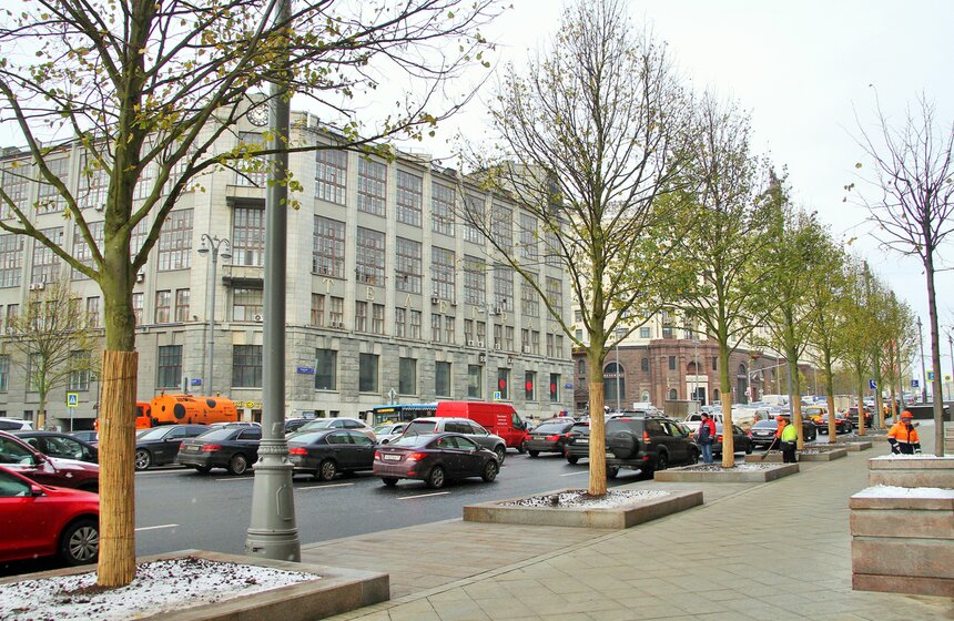 Сергей Собянин осмотрел озелененную Тверскую 4 фото