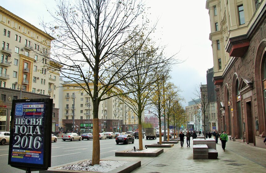 Сергей Собянин осмотрел озелененную Тверскую 16 фото