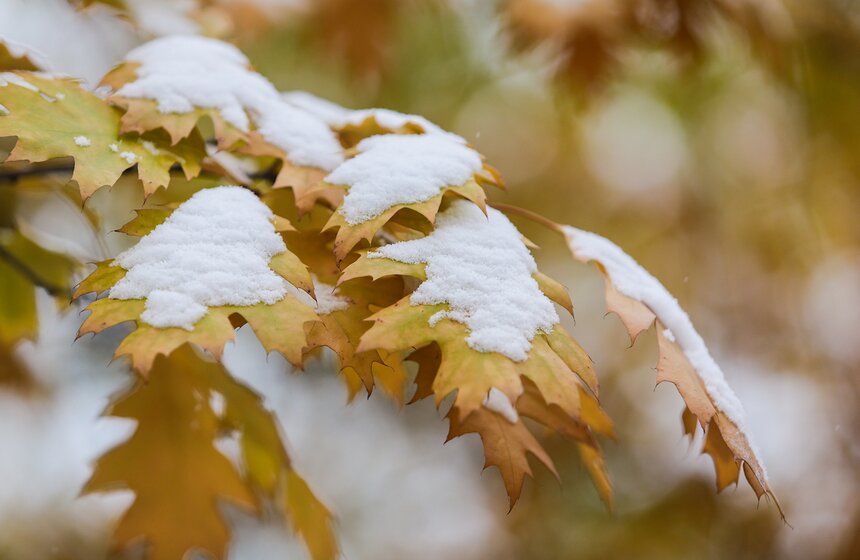 Первый снег в столице. Фоторепортаж 30 фото