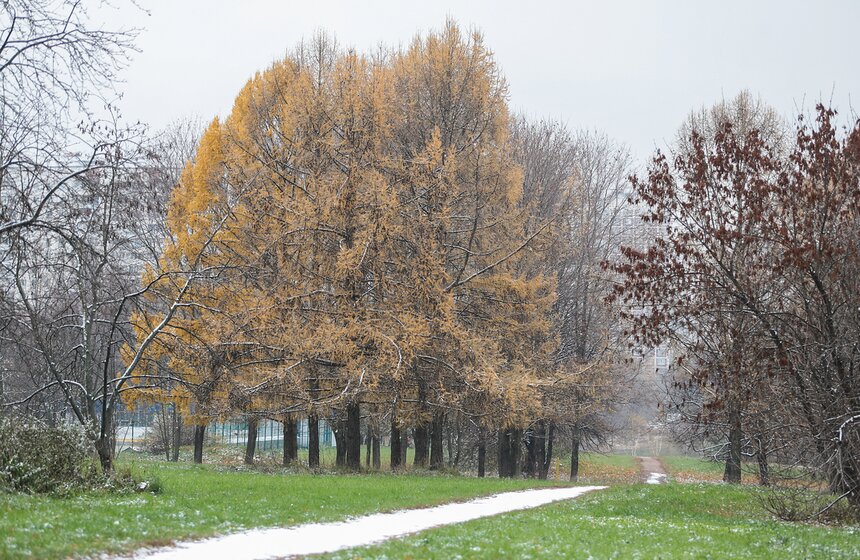 Первый снег в столице. Фоторепортаж 27 фото