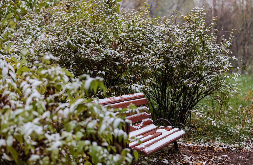 Первый снег в столице. Фоторепортаж 22 фото