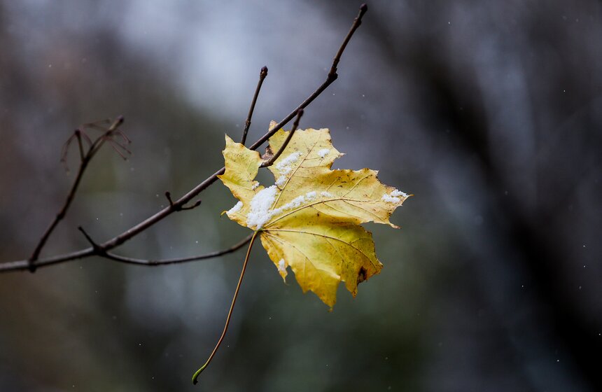 Первый снег в столице. Фоторепортаж 20 фото
