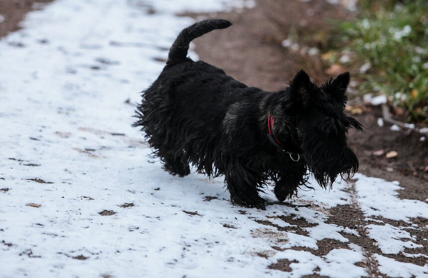 Первый снег в столице. Фоторепортаж 24 фото