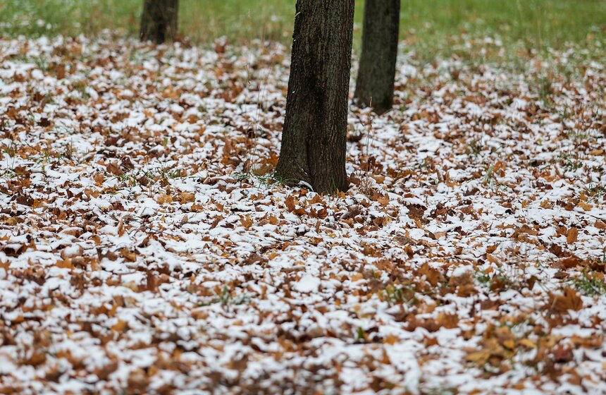 Первый снег в столице. Фоторепортаж 26 фото