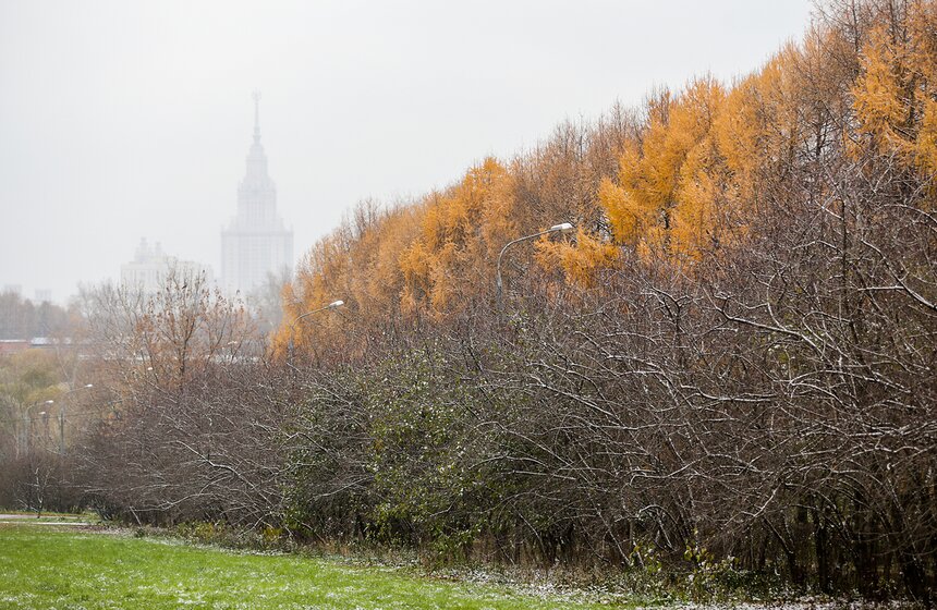 Первый снег в столице. Фоторепортаж 28 фото