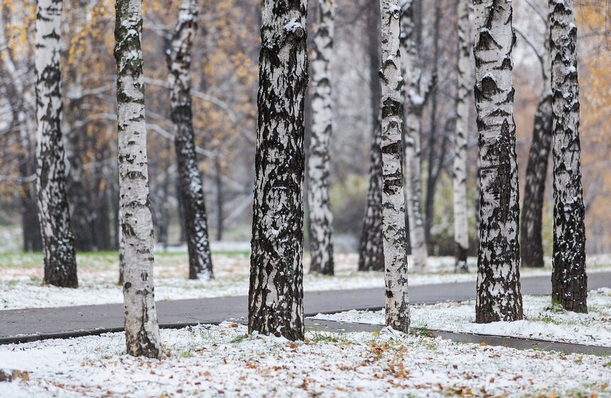 Первый снег в столице. Фоторепортаж 7 фото