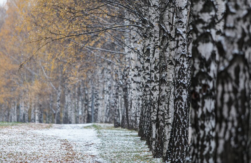Первый снег в столице. Фоторепортаж 6 фото