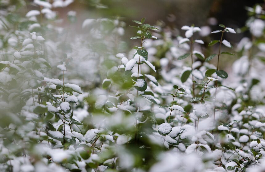 Первый снег в столице. Фоторепортаж 5 фото