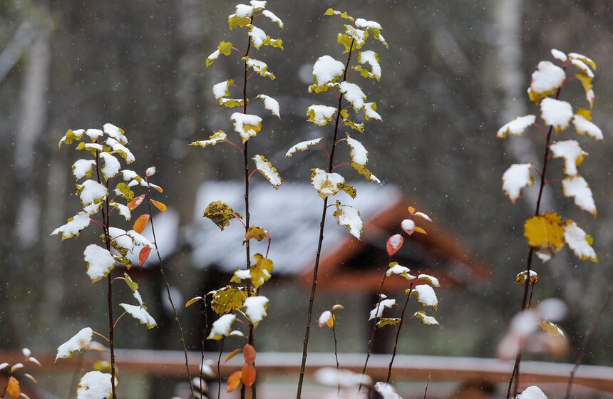 Первый снег в столице. Фоторепортаж 17 фото