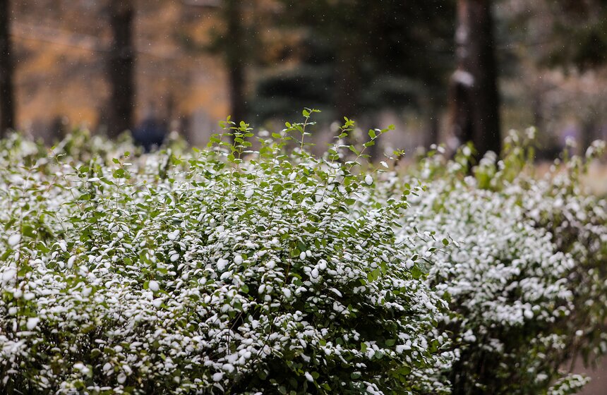 Первый снег в столице. Фоторепортаж 4 фото