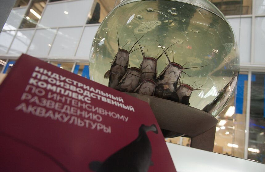 Форум "Открытые инновации" в технопарке "Сколково" 6 фото