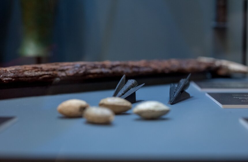 Выставка "Боги и герои Древней Греции" 4 фото