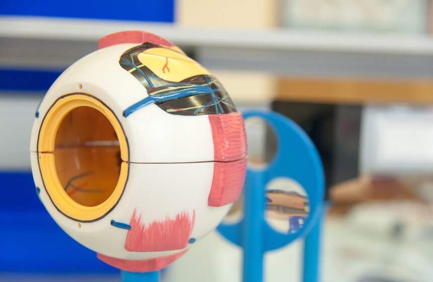 Презентация нового оборудования в гимназии номер 1540 18 фото